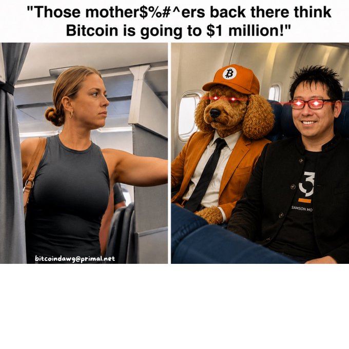 A meme-style image features the caption 'Those mother$%#^ers back there think Bitcoin is going to $1 million!' above panels showing a woman looking back at a dog and a man on a plane, with 'bitcoindawg@primal.net' in the bottom left.