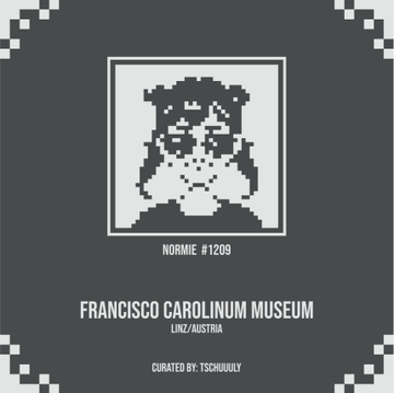 The image features a museum exhibit with a digital art piece that looks like a person's face made of pixelated faces. The text "FRANCisco Carolinum Museum" is displayed at the bottom of the image, indicating the name of the museum where this artwork is on display. The post also mentions that the artwork was created by Normies @ normiesART and is described as imperfect due to its pixelated nature.