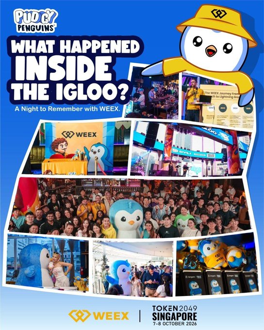 A promotional collage for the "Inside the Igloo" event at TOKEN2049 Singapore (October 7-8, 2026), featuring WEEX x Pudgy Penguins branding and photos of the community gathering, where WEEX COO WEEX_Andy shared the platform's "One account. All markets." vision.