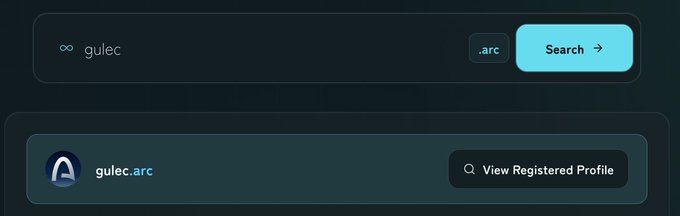 A dark-themed search interface showing a query for 'gulec' with the domain '.arc' selected, displaying a result for 'gulec.arc' with a 'View Registered Profile' button.