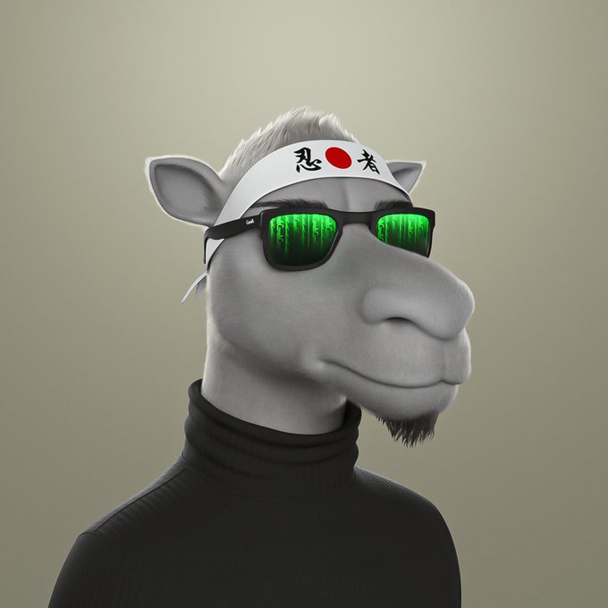 A 3D-rendered gray animal character wears green sunglasses with a code matrix reflection, a black turtleneck, and a white headband with a Japanese flag and text.