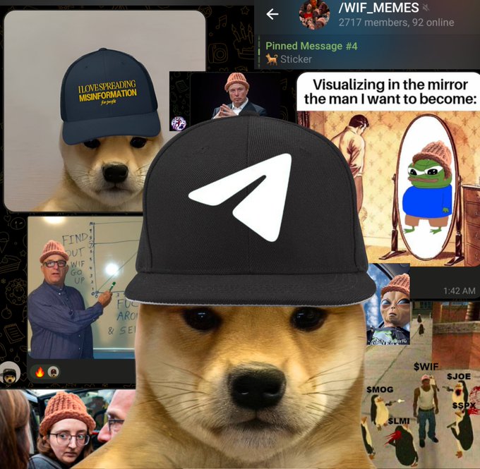 A doge meme wears a black baseball cap featuring the Telegram logo, with various "WIF" cryptocurrency memes displayed in the background, including references to "MISINFORMATION," "Visualizing in the mirror the man I want to become," and labels like $WIF, $SMOG, $SLIM, and $JOE.