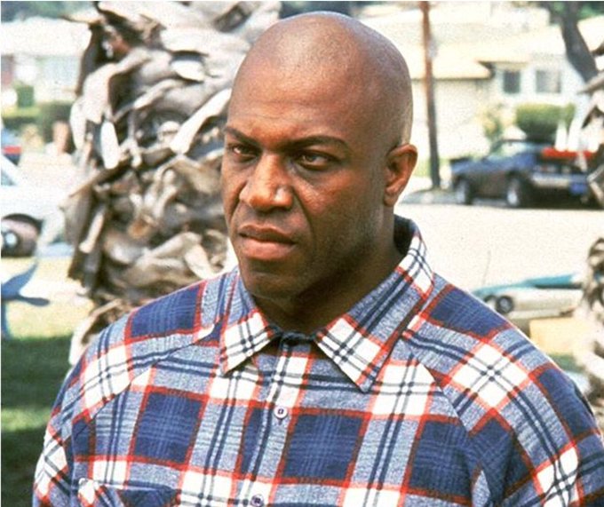A bald man wearing a blue, red, and white plaid shirt standing outdoors in front of palm trees and parked cars.