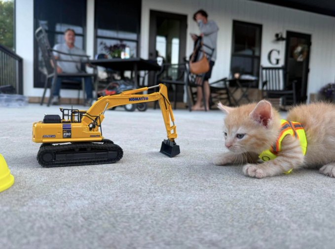 An adorable orange kitten wearing a yellow safety vest crawls on a patio while watching a yellow Komatsu PC290 excavator toy, with a man playing guitar and another relaxing on a porch in the background, fitting the post's theme of an IRL (in real life) Binance community event where the cute cat was rescued by builders.