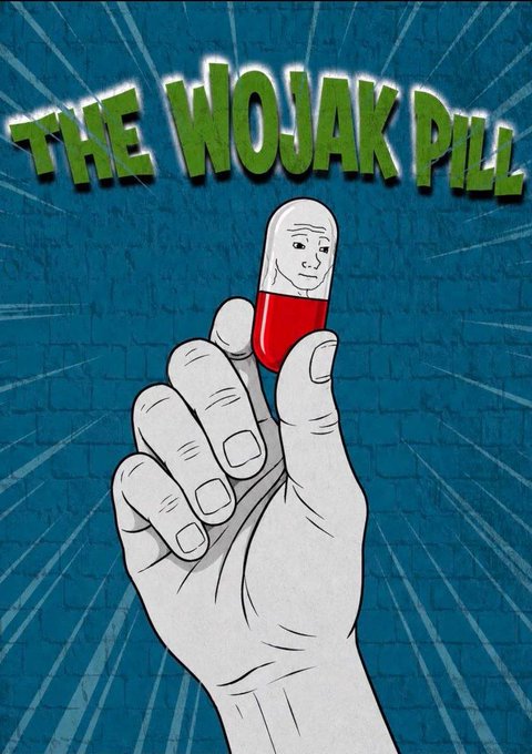 A meme-style poster titled "THE WOJAK PILL" depicts a hand holding a red and white capsule with the Wojak face on it against a blue brick wall background.