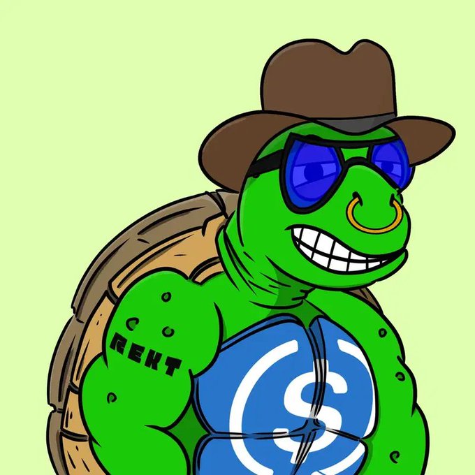 A cartoon illustration of a muscular green turtle character wearing a brown cowboy hat, blue sunglasses, and a blue tank top with a dollar sign logo, with 'REKT' tattooed on its arm.