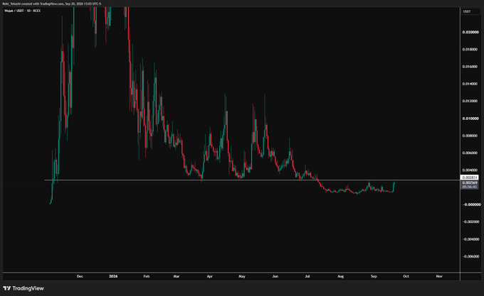 A TradingView daily chart of the WOJAK/USDT pair (TardFi on Binance) shows the price consolidating near a horizontal support level around 0.0060 USDT, which the post refers to as "this line" that could be broken.
