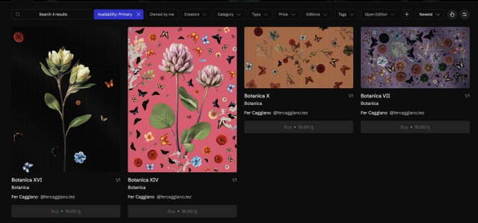 A digital marketplace displaying botanical NFT artwork for sale, including listings titled "Botanica XVI", "Botanica XIV", "Botanica X", and "Botanica VII" by Fer Caggiano, each priced at 15.00 tg.