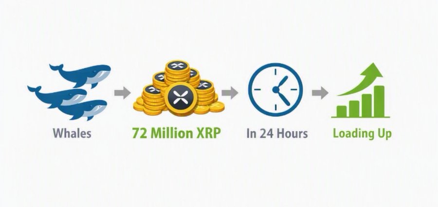 An infographic showing a sequence: whales leading to '72 Million XRP', followed by 'In 24 Hours', and ending with a rising bar graph labeled 'Loading Up'.