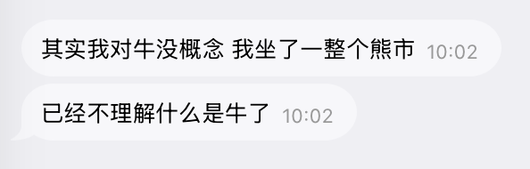 A screenshot of a Chinese-language chat showing two messages at 10:02 reading "其实我对牛没概念 我坐了一整个熊市" (Honestly I have no concept of a bull market, I sat through an entire bear market) and "已经不理解什么是牛了" (I no longer understand what a bull [market] is), humorously illustrating the post's point about investors who have only experienced the crypto bear market and can't relate to the bullish rallies described.