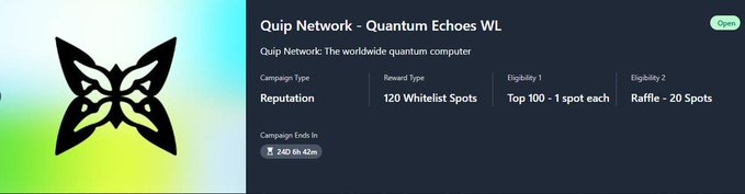 urnet network - Quantum Echoes WL is displayed on a dark gray background, accompanied by a black butterfly logo and a list of options for viewing the network's offerings.