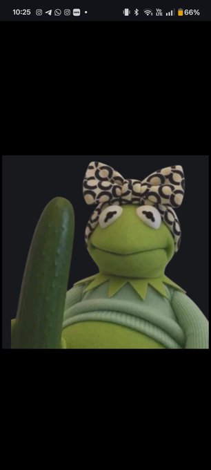A smartphone screenshot shows a Kermit the Frog puppet wearing a beige and black monogram patterned bow, holding a green pickle against a dark background.