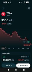 A mobile screenshot of a stock trading app showing a downward price chart for TSLA (Tesla) at $306.42, with a portfolio value of $33,873.64.