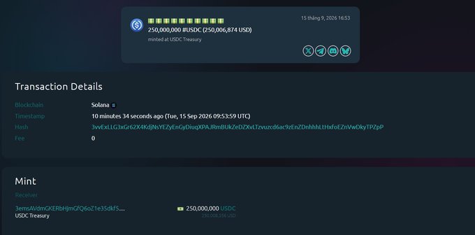 A blockchain transaction details page showing a mint of 250,000,000 #USDC on Solana by the USDC Treasury, with a timestamp of Tue, 15 Sep 2026 09:53:59 UTC.