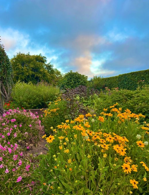 A lush flower garden bursts with vibrant yellow, pink, and white blooms under a dramatic sky, evoking a peaceful, legendary morning scene. The colorful natural beauty echoes the "gm legends" caption as a tribute to timeless, awe-inspiring moments worth celebrating.