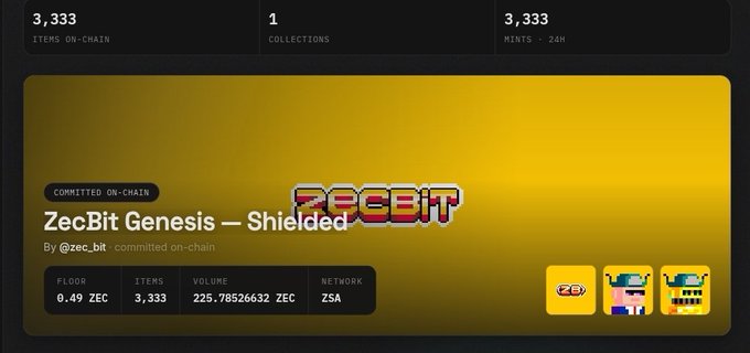 The image displays an NFT collection page for "ZecBit Genesis — Shielded" by @zec_bit on the ZSA network, showing 3,333 items on-chain, a floor price of 0.49 ZEC, and a volume of 225.78 ZEC over 24 hours, directly illustrating the post's discussion of ZecBit's price performance and the author's growing interest in Zcash-based NFT projects.