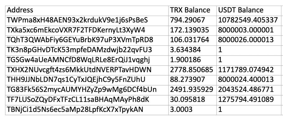 A spreadsheet displays cryptocurrency wallet addresses with their TRX and USDT balances, including addresses like TWPma8xH48AEN93x2krdukV9e1j6sPsBeS with 794.29 TRX and 10,782,549.40 USDT.