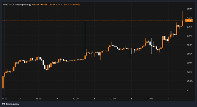 The image is a TradingView candlestick chart for $GINGY/USOL on Raydium, showing a strong uptrend from roughly 100K to 772K over a multi-day period, with the latest close around 749K (+8.87%). 

This price action supports the post's "slow cook" thesis, as $GINGY has been steadily grinding higher rather than spiking—and is still up over 7x from its starting range despite a brief mid-period dip, making fading it look like the wrong call.