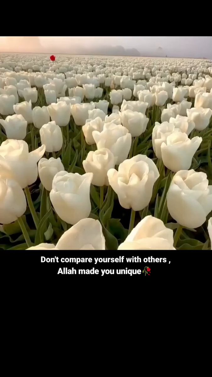 None