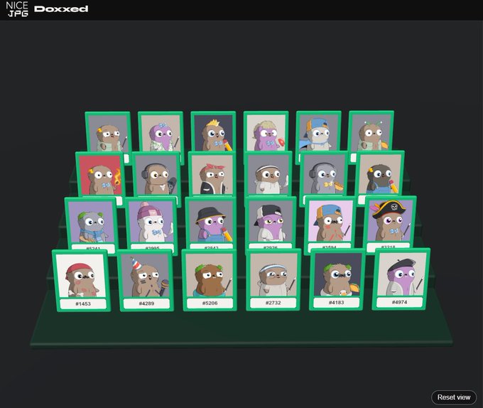 A display of NFT collectibles labeled "NICE JPG Doxxed" featuring cartoon sloth characters with various hats and accessories, arranged in tiered rows with numbered identifiers like #1453 and #4974.