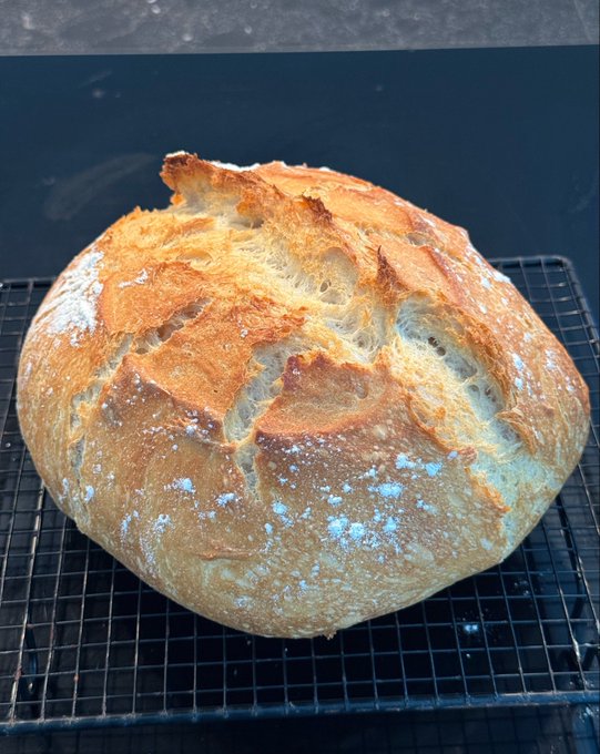 A freshly baked, round loaf of crusty artisan bread resting on a wire cooling rack.