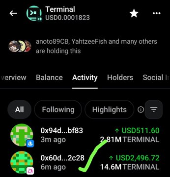 Mobile app screen showing 'Terminal' token (USD 0.0001823) activity feed with recent transactions including 2.81M TERMINAL (USD511.60) and 14.6M TERMINAL (USD2,496.72) holdings, noting anoto89CB, YahtzeeFiSh and others holding this token.