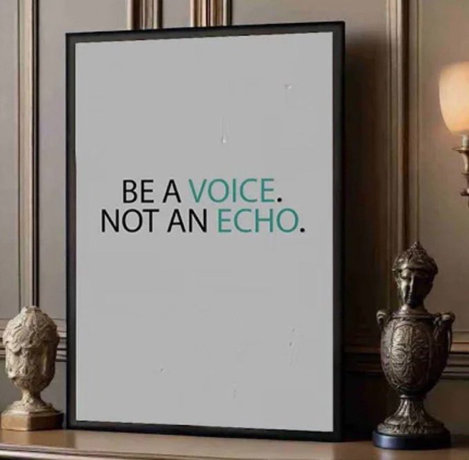 A framed motivational poster displaying the text 'Be a Voice. Not an Echo.' in black and teal, displayed on a console table with decorative urns.