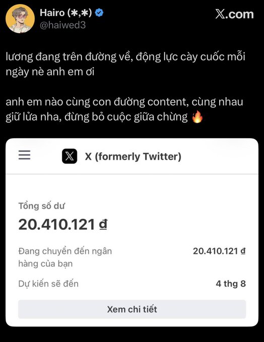 A screenshot of an X (formerly Twitter) post by Hairo (@haiwed3) with Vietnamese text, showing a Twitter wallet balance of 20,410,121 đ being transferred to a bank account.
