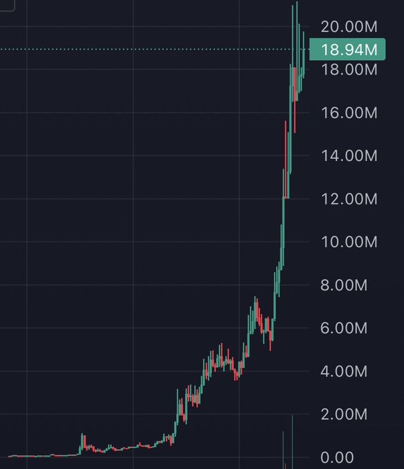 A candlestick chart displays a dramatic parabolic price surge from near zero to a peak of 18.94M (highlighted in green near the 20.00M mark), illustrating the explosive rise of the BNB-based memecoin referenced in the post about missing a $20M runner while taking Sunday off.