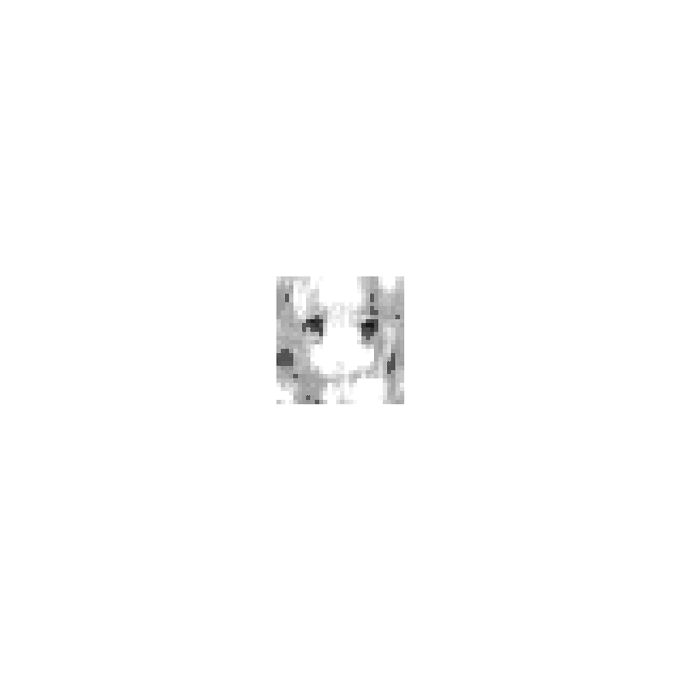 A small, low-resolution pixelated grayscale image of a cat's face centered on a white background.