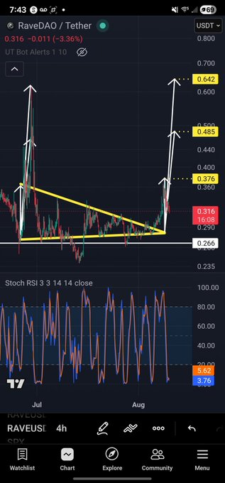 TradingView chart of RaveDAO/Tether (RAVEUSI) showing a falling wedge breakout pattern with Stoch RSI 3 14 14 close indicator at the bottom.