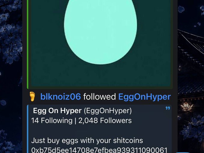 A Twitter notification shows that blknoiz06 followed the "Egg On Hyper" account, which has 2,048 followers and a crypto wallet address displayed, with the bio reading "Just buy eggs with your shitcoins." This relates to the post about crypto traders chasing newer meme coin opportunities on platforms like Pumpfun while often missing earlier projects like Cashcat and Marscoin.