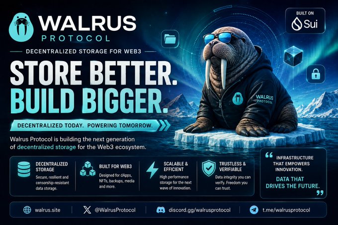 A promotional banner for 'WALRUS PROTOCOL' advertising 'DECENTRALIZED STORAGE FOR WEB3' with the slogans 'STORE BETTER. BUILD BIGGER.' and an image of a walrus wearing sunglasses and a hoodie.
