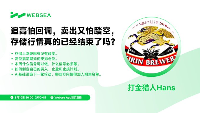 A Websea promotional slide in Chinese featuring the headline '追高怕回调, 卖出又怕踏空, 存储行情真的已经结束了吗?' about storage market trends, alongside a 'TWIN BREWER' beer logo with eagles.