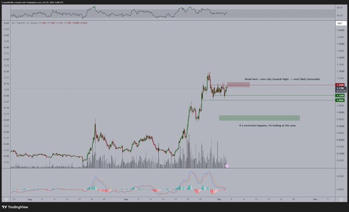 A TradingView technical chart of SUI/USD displays price action near $1.19 with annotations highlighting a "Break here = new rally towards highs — most likely favourable" zone, accompanied by a secondary note about "If a correction happens, I'm looking at this area" near lower support levels around $1.06–$1.09, illustrating the bullish breakout and correction scenarios referenced in the caption.