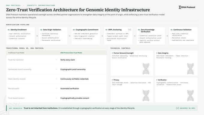 !"This image shows a white document with black text on a gray background, titled 'Zero-Trust Verification Architecture for Genomic Identity Infrastructure'. The text indicates that this graphic represents a verification model built into the $XRP Ledger by @DNAOnChain". This information is related to the post in question and provides context about the verifications being conducted.