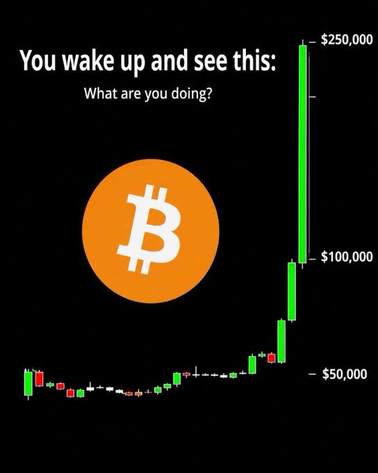 A meme showing the Bitcoin logo and the text 'You wake up and see this: What are you doing?' alongside a chart depicting a massive price surge to $250,000.