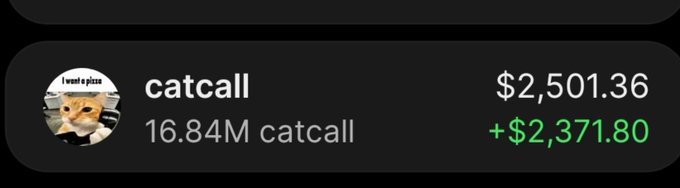 A cryptocurrency or token tracking interface shows the 'catcall' token with a price of $2,501.36 and a positive change of +$2,371.80.