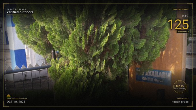 A photograph of a large evergreen tree in front of a building with a "BAVAILAB" sign, overlaid with text including "PROOF OF GRASS verified outdoors," "DAY 125," "TOP 1% GRASS TOUCHERS," and "DATE OF CERTIFICATION OCT 10, 2026."