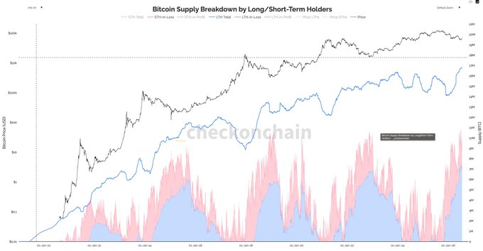 The image is a chart titled "Bitcoin Supply Breakdown by Long/Short-Term Holders" by checkonchain, displaying BTC price (black line) alongside long-term holder supply (blue line) reaching approximately 14M BTC and short-term holder supply in loss (pink areas) on a logarithmic scale from 2023 to January 2025, illustrating that long-term holders are accumulating supply at record highs despite elevated unrealized losses.
