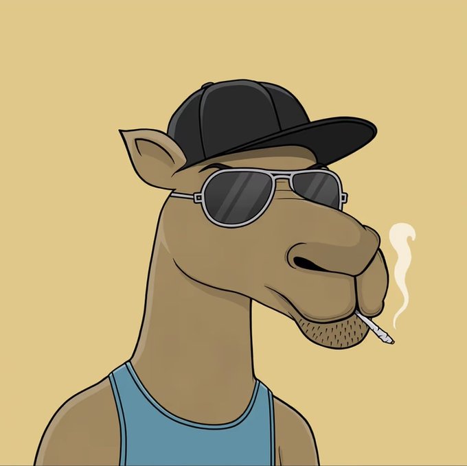 A cartoon illustration of a brown camel wearing a black baseball cap, silver aviator sunglasses, and a blue tank top, smoking a cigarette with smoke trailing up.