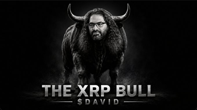 A black-and-white image shows a muscular bull with the face of a bearded man with glasses and long hair superimposed on it, standing against a dark background with the bold text "THE XRP BULL" and "$DAVID" beneath, visually representing the post's announcement that David has "become the bull" for his newly launched $DAVID token on pump.fun (CA: BbhrpAasgRCe98tEz3wPYeaMQ8nnoR8JS9zde9Wipump).