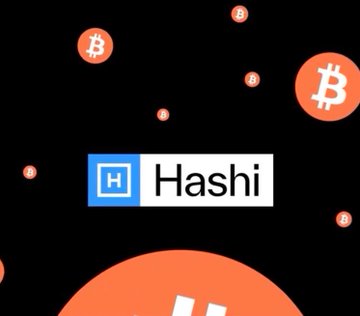 A graphic displaying the "Hashi" logo surrounded by floating Bitcoin (₿) symbols on a black background.