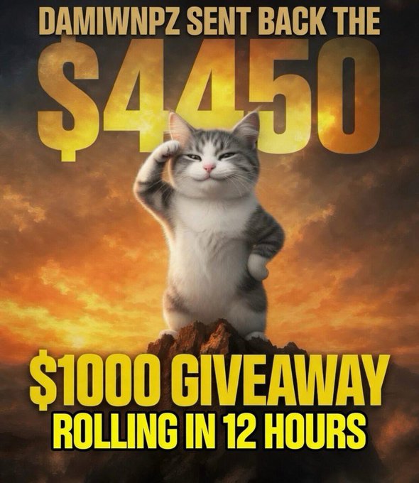A cat striking a salute pose stands triumphantly on a rocky peak against a fiery sunset sky, with bold text promoting that "DAMIWNPZ SENT BACK THE $4450" and announcing a "$1000 GIVEAWAY ROLLING IN 12 HOURS." The image visually celebrates the honesty of user @Damiwnpz returning the funds, supporting the post's giveaway contest to reward such trustworthy behavior in the crypto community.