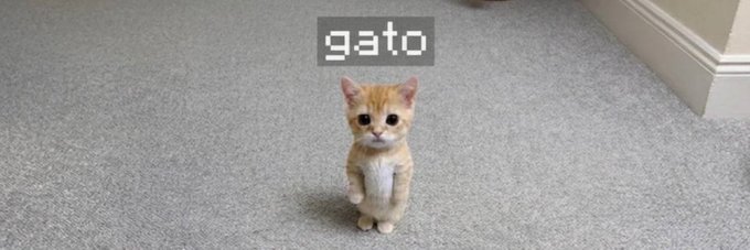A small orange and white kitten sits on a gray carpet with the word "gato" displayed in pixelated text above it. The image appears to be the profile banner for the $gato token on MobyScreener, featuring a literal translation of the Spanish word "gato" (cat).