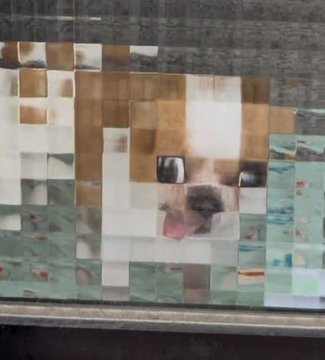 A pixelated, mosaic-like image that appears to depict a dog's face assembled from small square tiles, resembling a low-resolution or tiled display.
