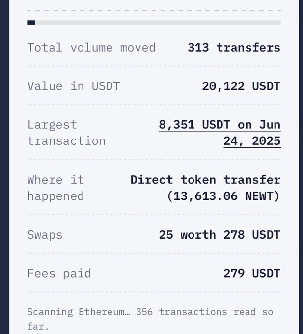 A transaction report showing 313 transfers totaling 20,122 USDT, with the largest transaction of 8,351 USDT on June 24, 2025 via direct token transfer (13,613.06 NEWT), 25 swaps worth 278 USDT, and 279 USDT in fees paid, while scanning Ethereum (356 transactions read so far).