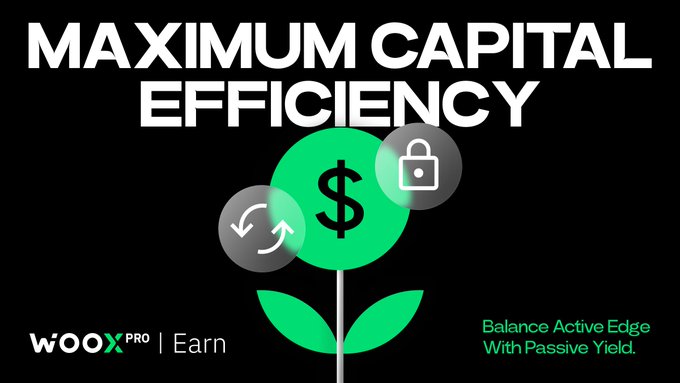 The image features a green plant with a dollar sign, which is used as an illustration for the maximum capital efficiency concept. The plant symbolizes maximizing returns while minimizing risk, just like optimizing one's investment portfolio. The text below the plant reads "Maximum Capital Efficiency" and provides information about how to achieve it in the context of trading.