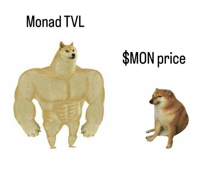 A buff doge labeled "Monad TVL" towers over a small, unimpressed doge labeled "$MON price," humorously illustrating the post's point that while Monad's Total Value Locked looks impressive on paper, the actual MON token price reflects skepticism about the project's true value, leaving its potential a "mystery."