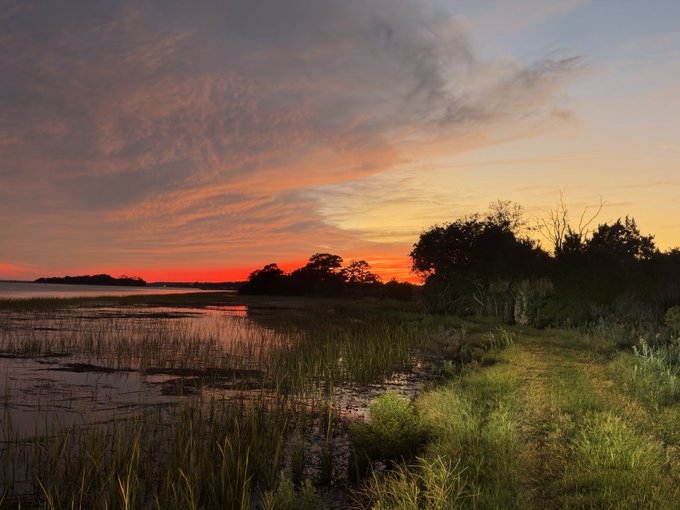 A scenic landscape photograph capturing a vibrant sunset with orange and pink clouds over a calm body of water, silhouetted trees, and tall marsh grasses in the foreground.